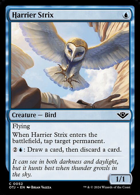 best bird cards mtg The most Ornithological you've ever seen! : r/magicTCG 20 Best Bird Cards for